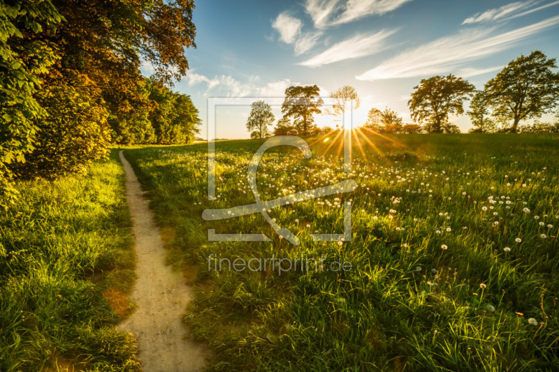 frei w&auml;hlbarer Bildausschnitt f&uuml;r Ihr Bild auf Tapete