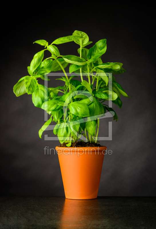 frei w&auml;hlbarer Bildausschnitt f&uuml;r Ihr Bild auf Tapete