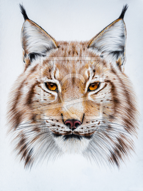 frei w&auml;hlbarer Bildausschnitt f&uuml;r Ihr Bild auf Tapete