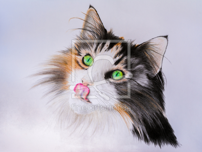 frei w&auml;hlbarer Bildausschnitt f&uuml;r Ihr Bild auf Tapete