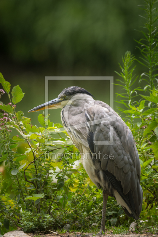 frei w&auml;hlbarer Bildausschnitt f&uuml;r Ihr Bild auf Tapete
