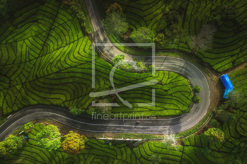 frei w&auml;hlbarer Bildausschnitt f&uuml;r Ihr Bild auf Tapete