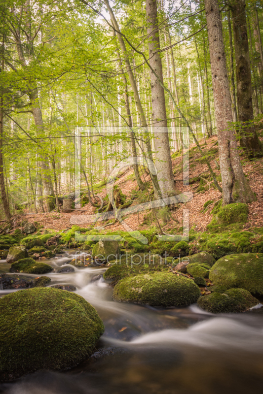 frei w&auml;hlbarer Bildausschnitt f&uuml;r Ihr Bild auf Tapete