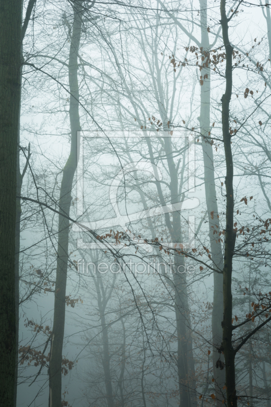 frei w&auml;hlbarer Bildausschnitt f&uuml;r Ihr Bild auf Tapete
