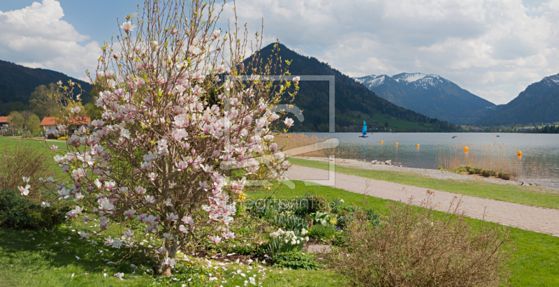 frei wählbarer Bildausschnitt für Ihr Bild auf Tapete