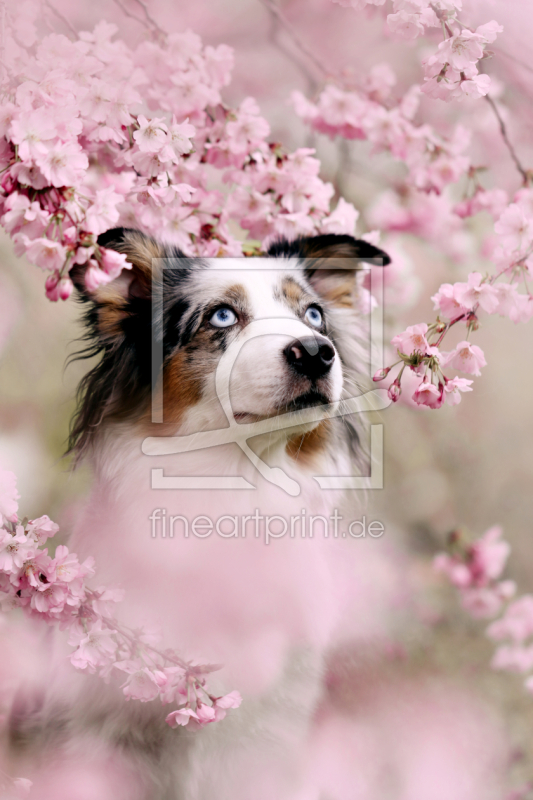 frei w&auml;hlbarer Bildausschnitt f&uuml;r Ihr Bild auf Tapete