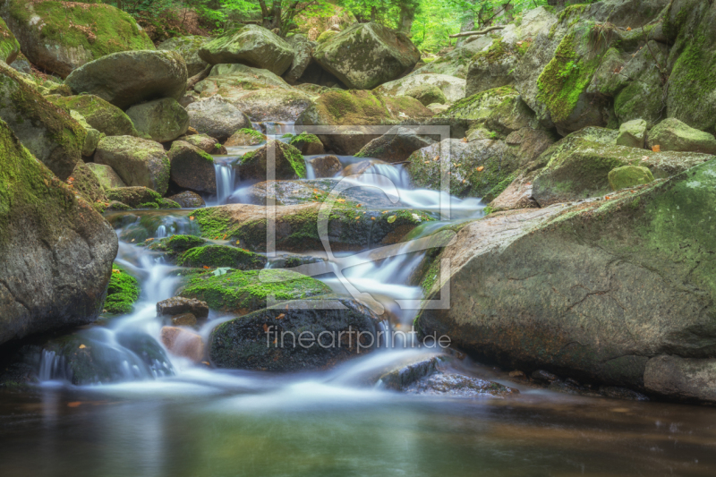 frei w&auml;hlbarer Bildausschnitt f&uuml;r Ihr Bild auf Tapete