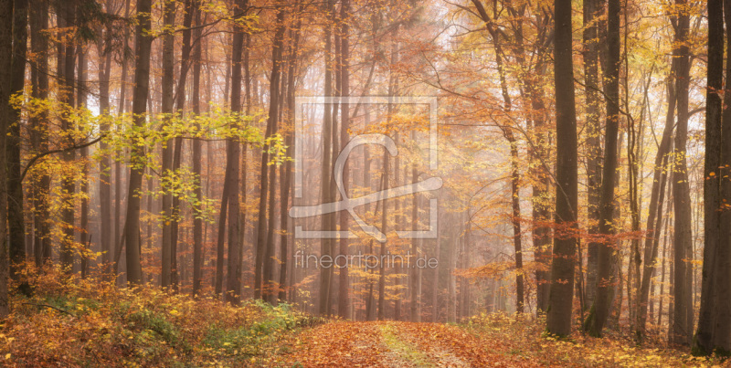 frei w&auml;hlbarer Bildausschnitt f&uuml;r Ihr Bild auf Tapete