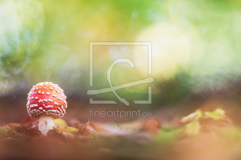 frei w&auml;hlbarer Bildausschnitt f&uuml;r Ihr Bild auf Tapete