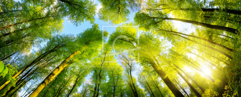 frei w&auml;hlbarer Bildausschnitt f&uuml;r Ihr Bild auf Tapete