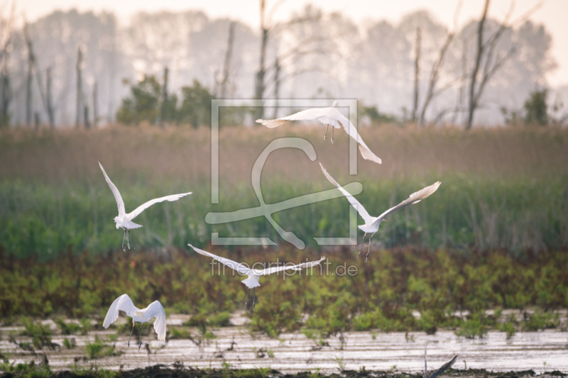 frei w&auml;hlbarer Bildausschnitt f&uuml;r Ihr Bild auf Tapete