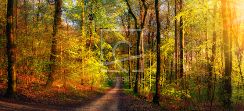 frei w&auml;hlbarer Bildausschnitt f&uuml;r Ihr Bild auf Tapete