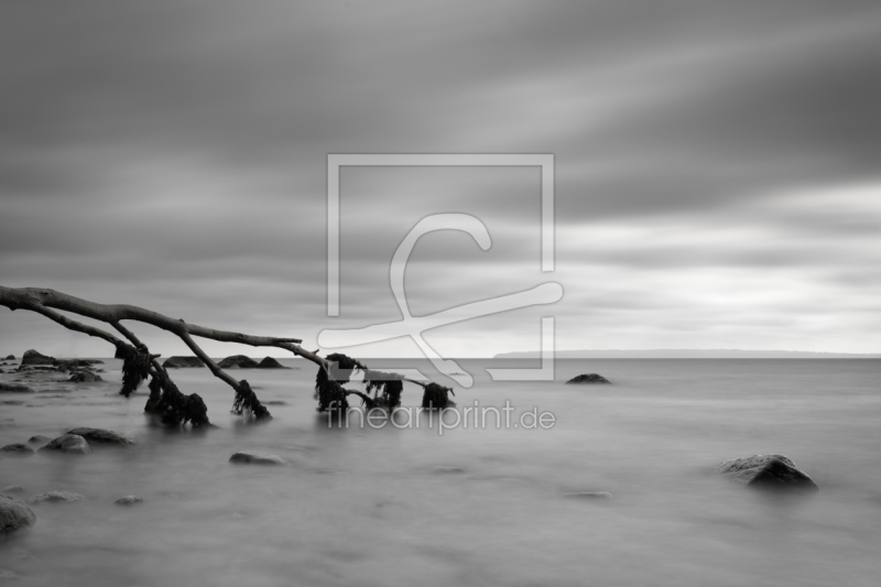 frei w&auml;hlbarer Bildausschnitt f&uuml;r Ihr Bild auf Tapete