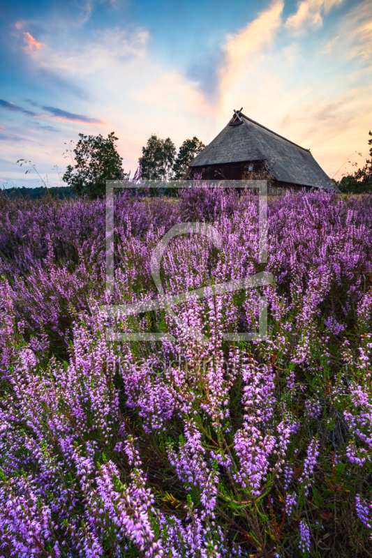 frei w&auml;hlbarer Bildausschnitt f&uuml;r Ihr Bild auf Tapete