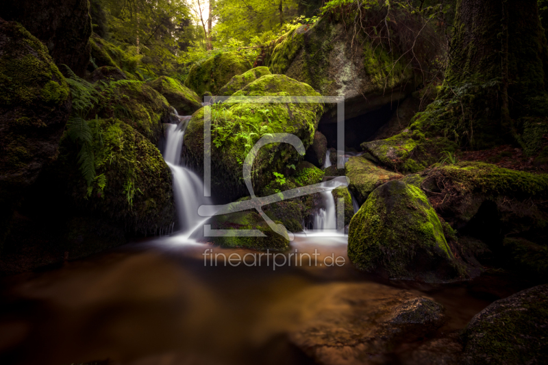 frei w&auml;hlbarer Bildausschnitt f&uuml;r Ihr Bild auf Tapete