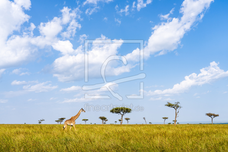 frei w&auml;hlbarer Bildausschnitt f&uuml;r Ihr Bild auf Tapete