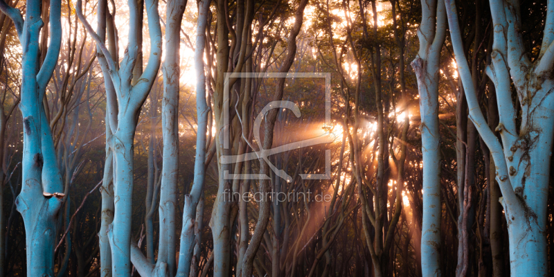 frei w&auml;hlbarer Bildausschnitt f&uuml;r Ihr Bild auf Tapete