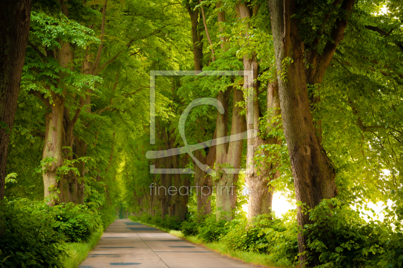 frei w&auml;hlbarer Bildausschnitt f&uuml;r Ihr Bild auf Tapete