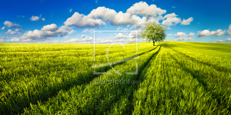 frei w&auml;hlbarer Bildausschnitt f&uuml;r Ihr Bild auf Tapete