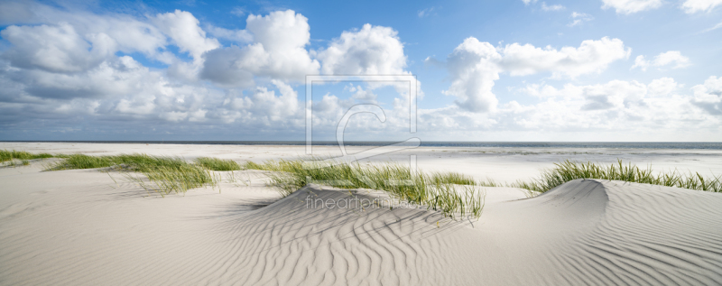 frei w&auml;hlbarer Bildausschnitt f&uuml;r Ihr Bild auf Tapete