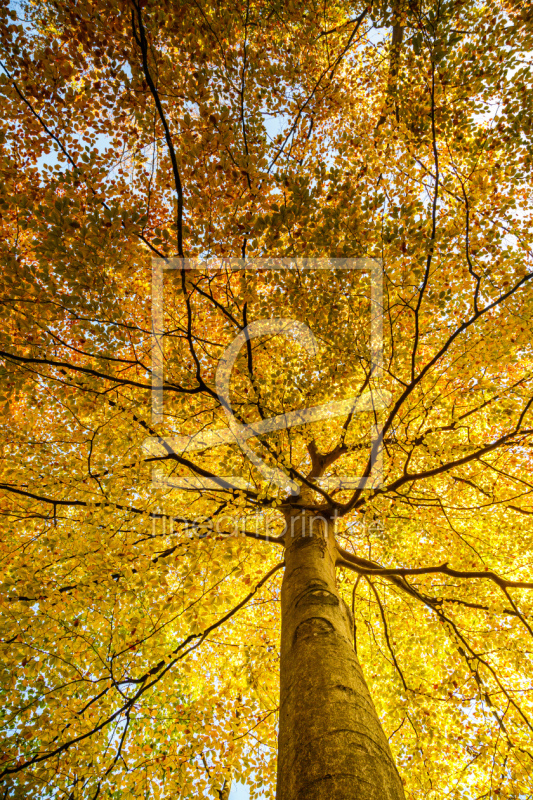 frei w&auml;hlbarer Bildausschnitt f&uuml;r Ihr Bild auf Tapete