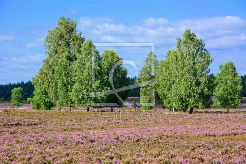 frei w&auml;hlbarer Bildausschnitt f&uuml;r Ihr Bild auf Tapete