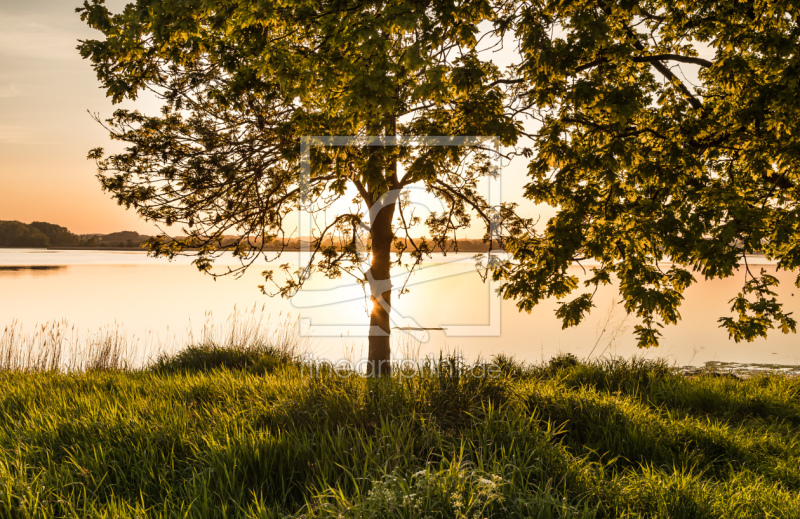 frei w&auml;hlbarer Bildausschnitt f&uuml;r Ihr Bild auf Tapete
