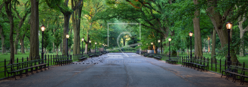 frei w&auml;hlbarer Bildausschnitt f&uuml;r Ihr Bild auf Tapete