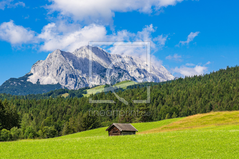 frei wählbarer Bildausschnitt für Ihr Bild auf Tapete
