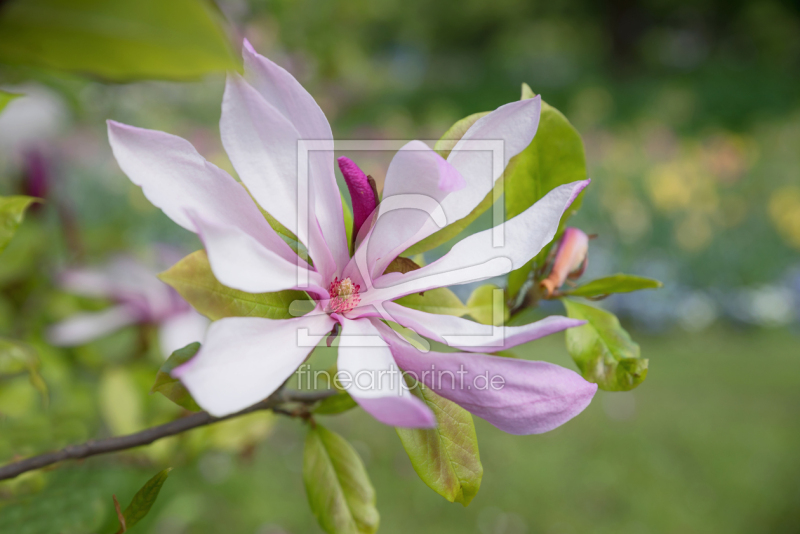 frei w&auml;hlbarer Bildausschnitt f&uuml;r Ihr Bild auf Tapete