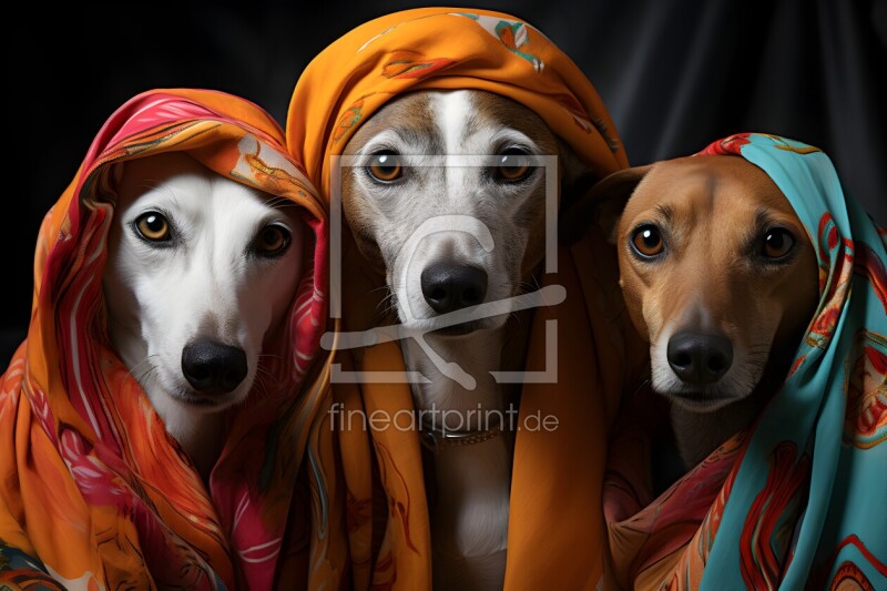 frei w&auml;hlbarer Bildausschnitt f&uuml;r Ihr Bild auf Tapete