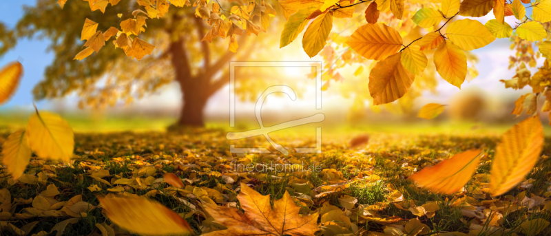 frei w&auml;hlbarer Bildausschnitt f&uuml;r Ihr Bild auf Tapete