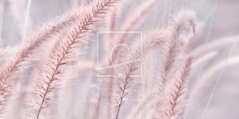 frei w&auml;hlbarer Bildausschnitt f&uuml;r Ihr Bild auf Tapete