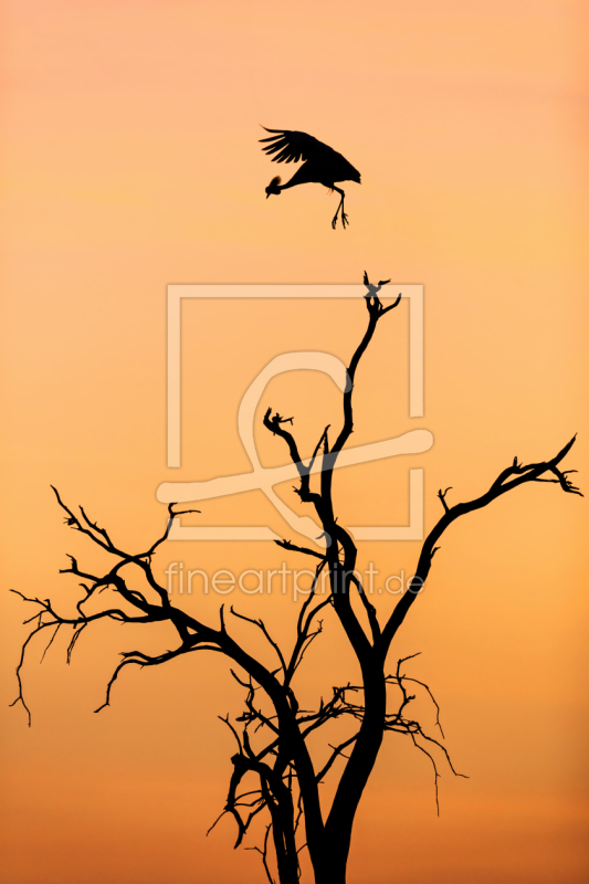 frei w&auml;hlbarer Bildausschnitt f&uuml;r Ihr Bild auf Tapete