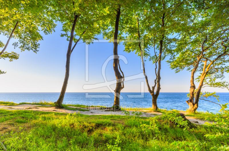 frei w&auml;hlbarer Bildausschnitt f&uuml;r Ihr Bild auf Tapete