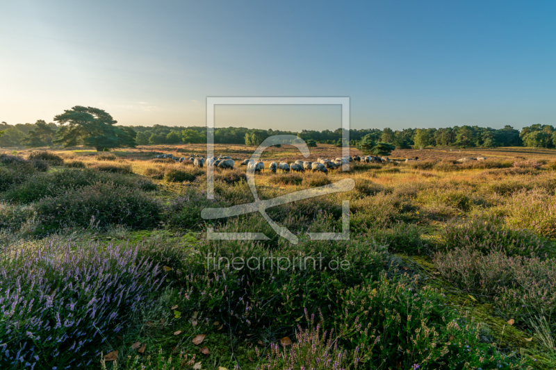 frei w&auml;hlbarer Bildausschnitt f&uuml;r Ihr Bild auf Tapete