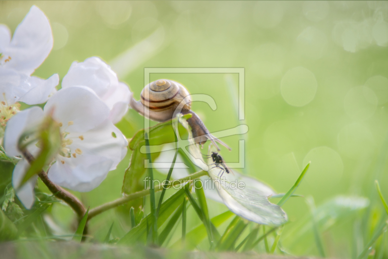 frei w&auml;hlbarer Bildausschnitt f&uuml;r Ihr Bild auf Tapete