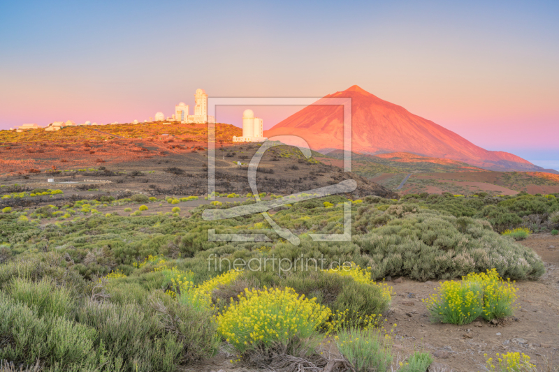 frei w&auml;hlbarer Bildausschnitt f&uuml;r Ihr Bild auf Tapete