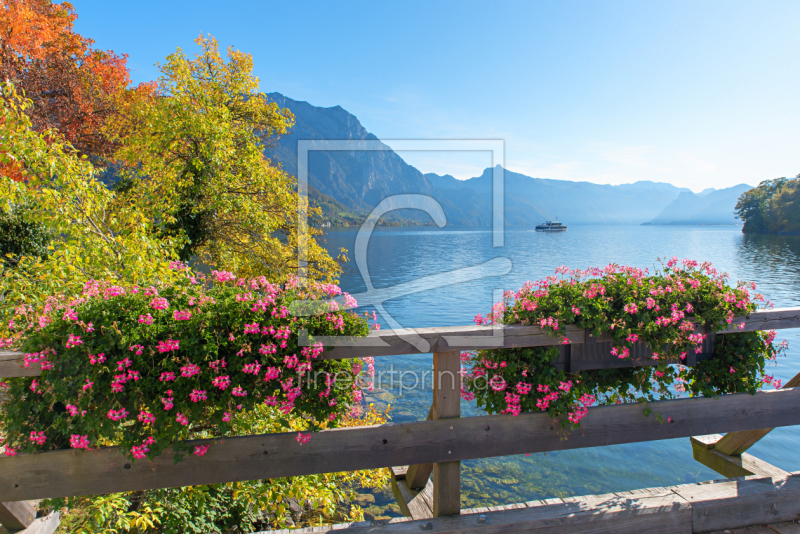 frei w&auml;hlbarer Bildausschnitt f&uuml;r Ihr Bild auf Tapete