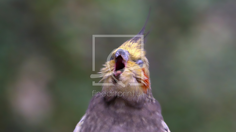 frei w&auml;hlbarer Bildausschnitt f&uuml;r Ihr Bild auf Tapete
