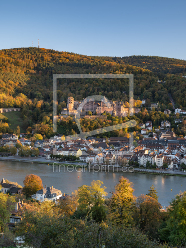 frei wählbarer Bildausschnitt für Ihr Bild auf Tapete