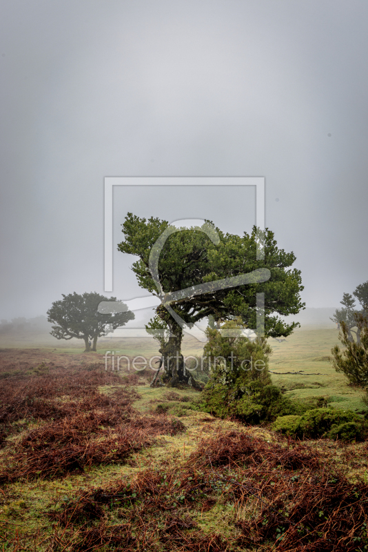 frei w&auml;hlbarer Bildausschnitt f&uuml;r Ihr Bild auf Tapete