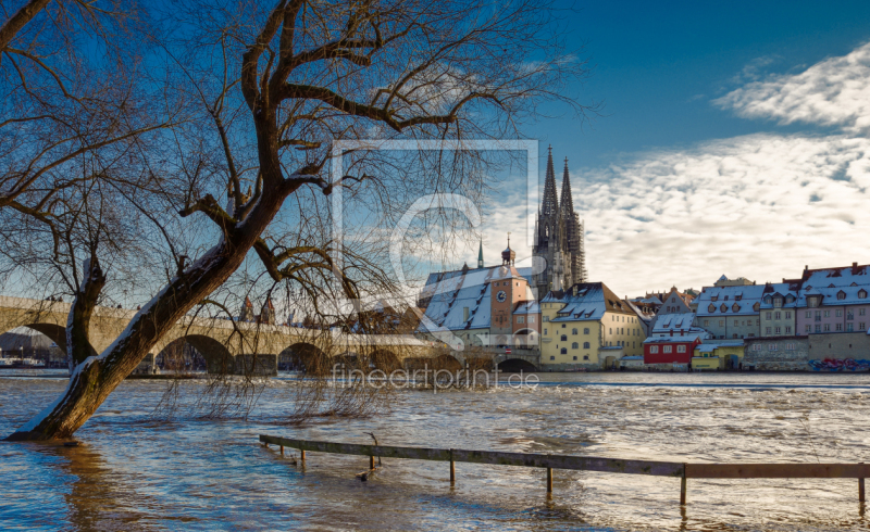 frei wählbarer Bildausschnitt für Ihr Bild auf Tapete
