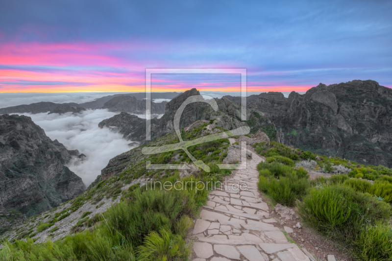 frei wählbarer Bildausschnitt für Ihr Bild auf Tapete