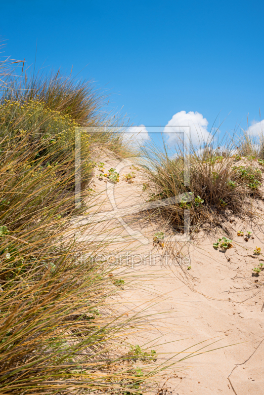 frei w&auml;hlbarer Bildausschnitt f&uuml;r Ihr Bild auf Tapete