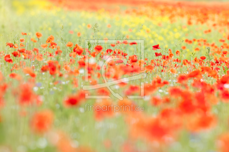 frei w&auml;hlbarer Bildausschnitt f&uuml;r Ihr Bild auf Tapete