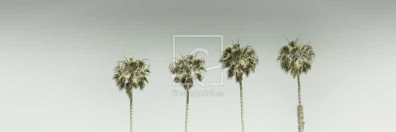 frei w&auml;hlbarer Bildausschnitt f&uuml;r Ihr Bild auf Tapete