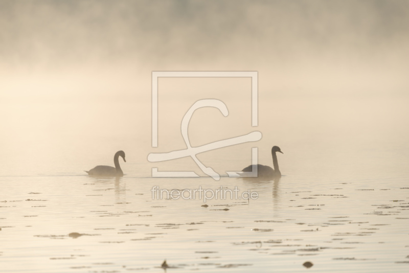 frei w&auml;hlbarer Bildausschnitt f&uuml;r Ihr Bild auf Tapete