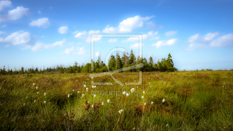 frei w&auml;hlbarer Bildausschnitt f&uuml;r Ihr Bild auf Tapete