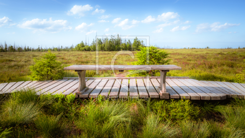frei w&auml;hlbarer Bildausschnitt f&uuml;r Ihr Bild auf Tapete